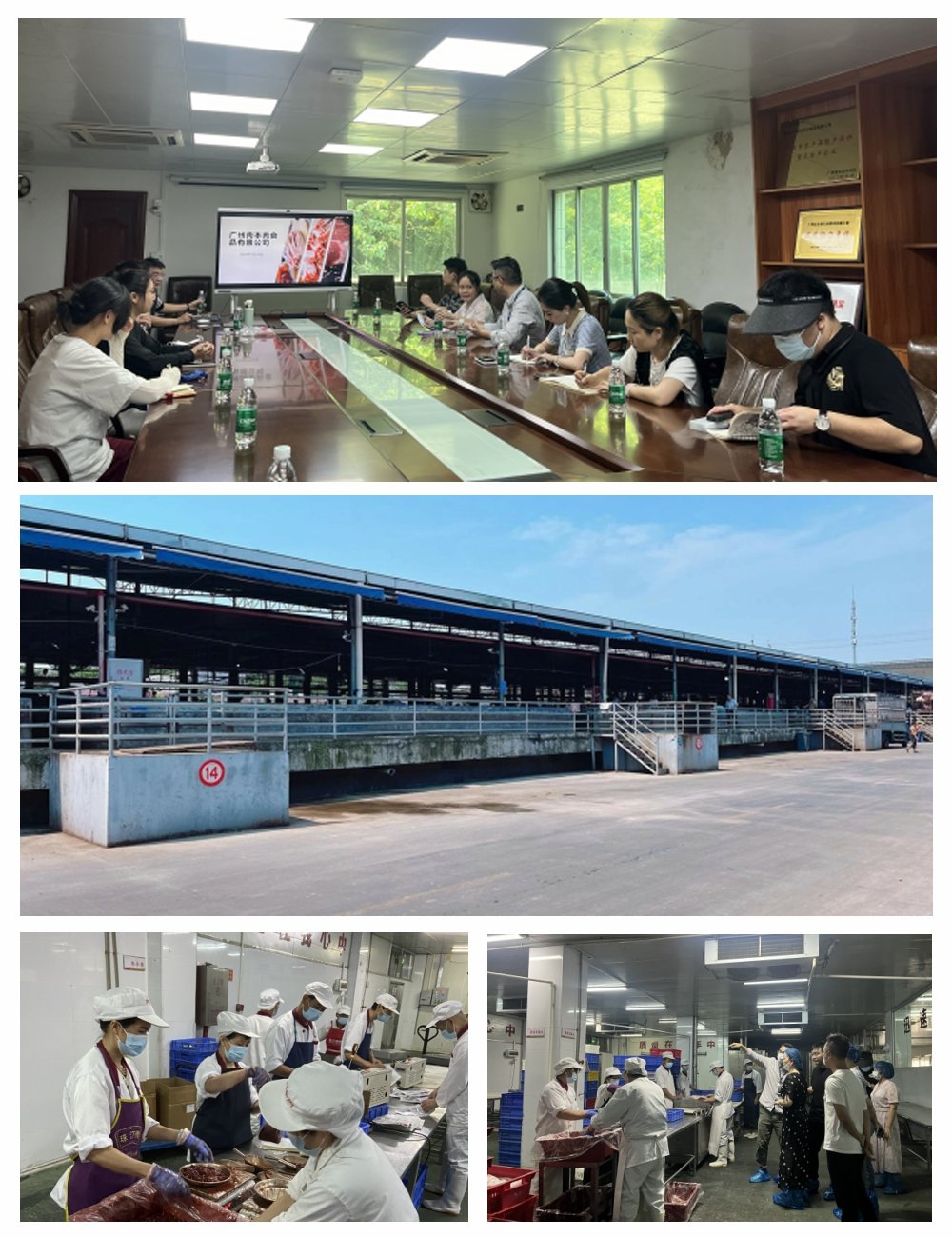 XPJ(中国大陆)有限公司官网