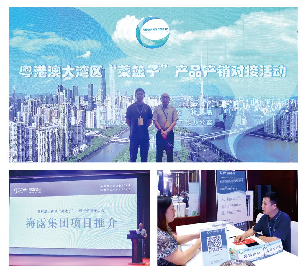 XPJ(中国大陆)有限公司官网