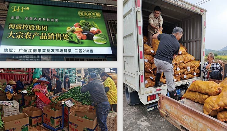 XPJ(中国大陆)有限公司官网