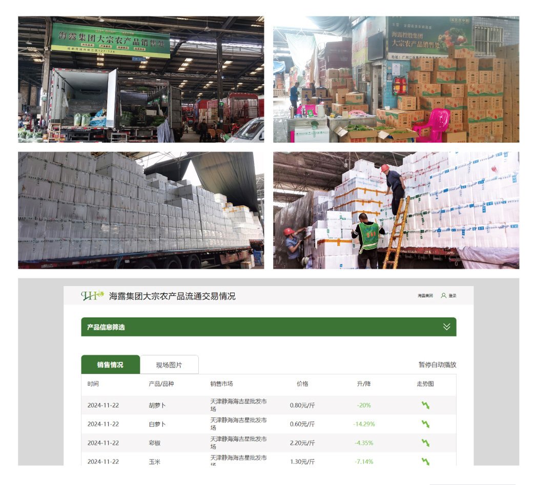 XPJ(中国大陆)有限公司官网