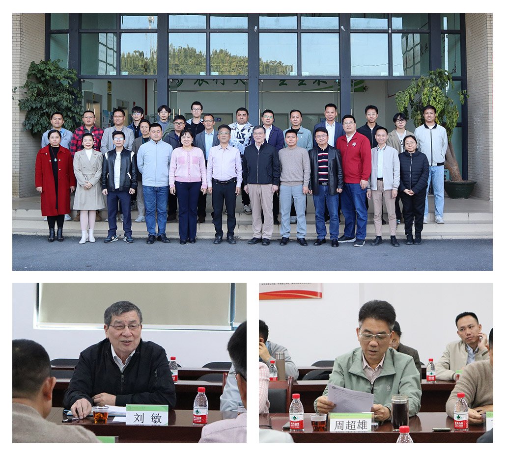 XPJ(中国大陆)有限公司官网