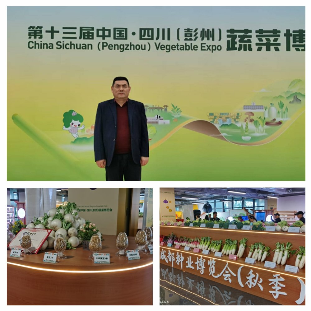 XPJ(中国大陆)有限公司官网