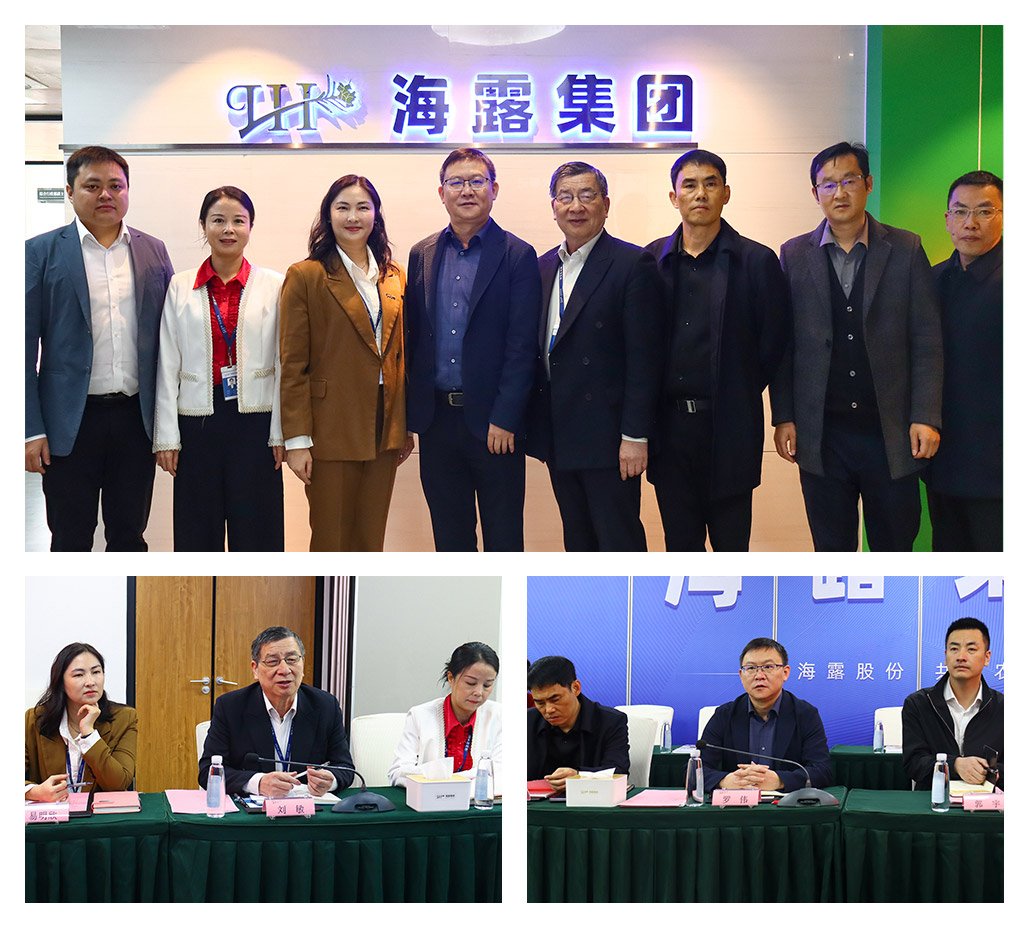 XPJ(中国大陆)有限公司官网