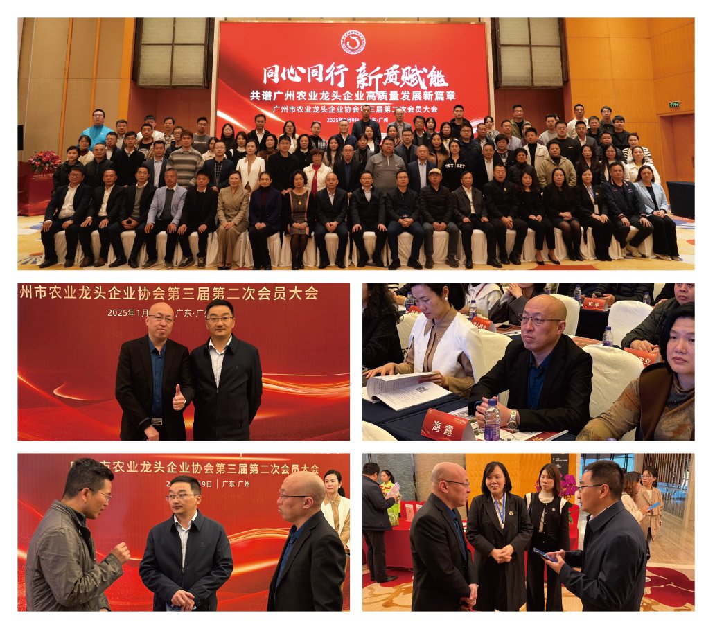 XPJ(中国大陆)有限公司官网