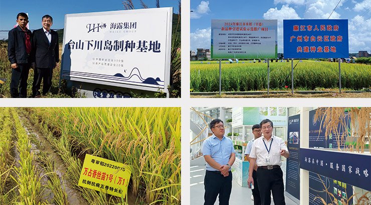 XPJ(中国大陆)有限公司官网