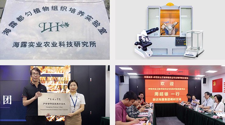 XPJ(中国大陆)有限公司官网