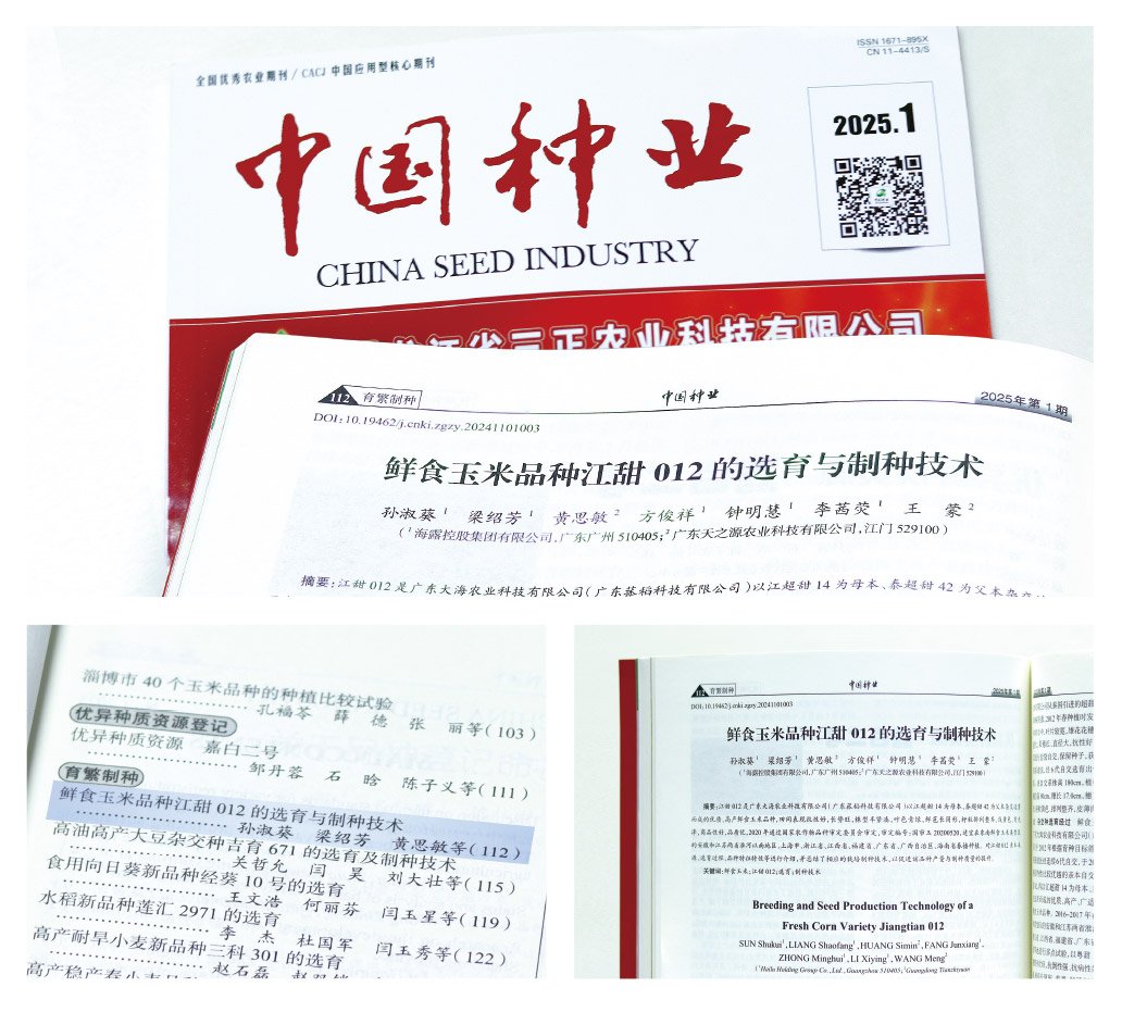 XPJ(中国大陆)有限公司官网