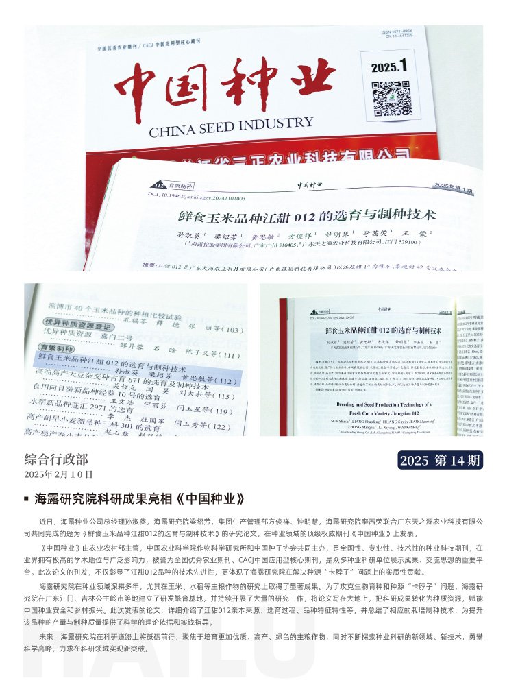 XPJ(中国大陆)有限公司官网