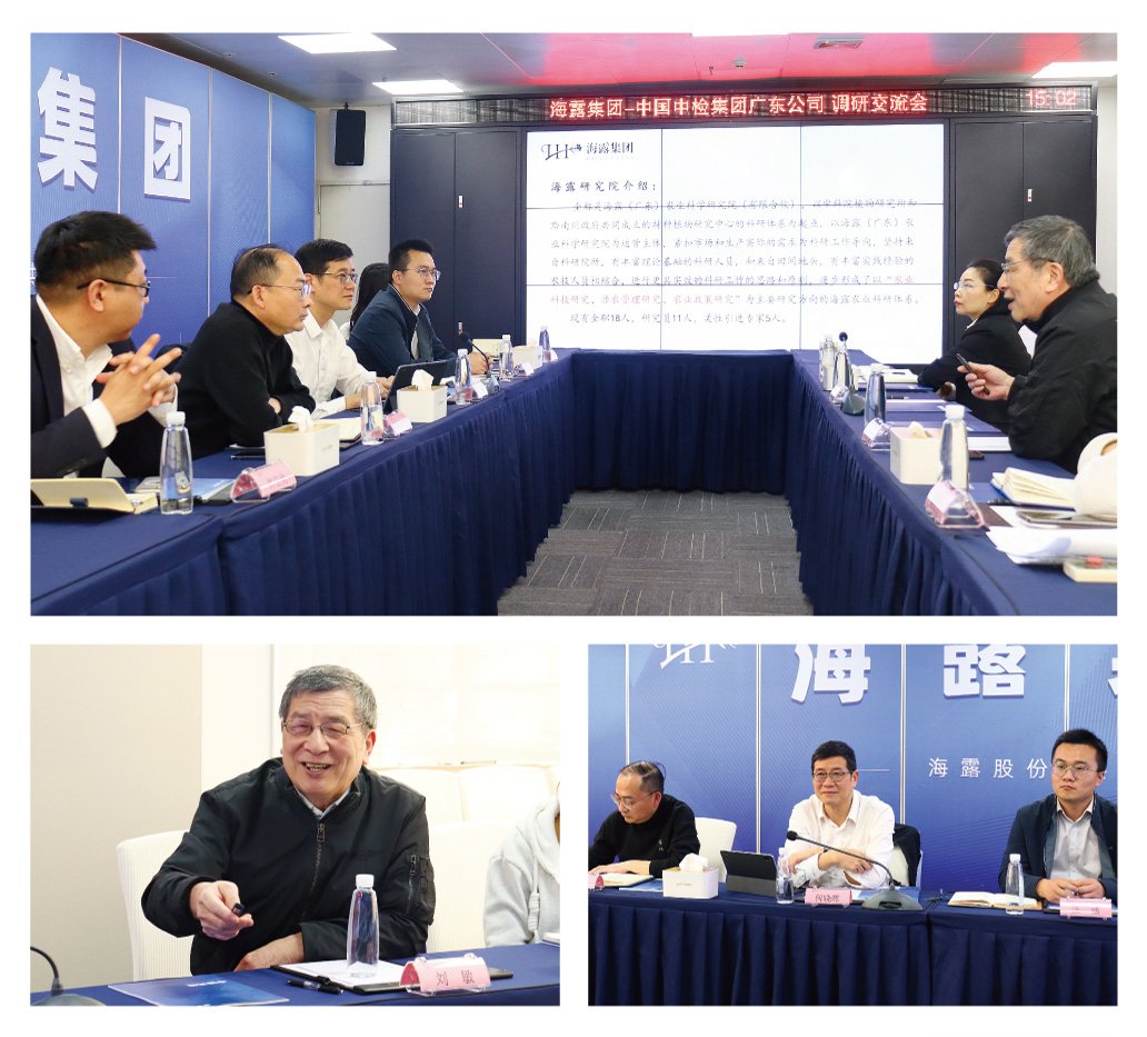 XPJ(中国大陆)有限公司官网