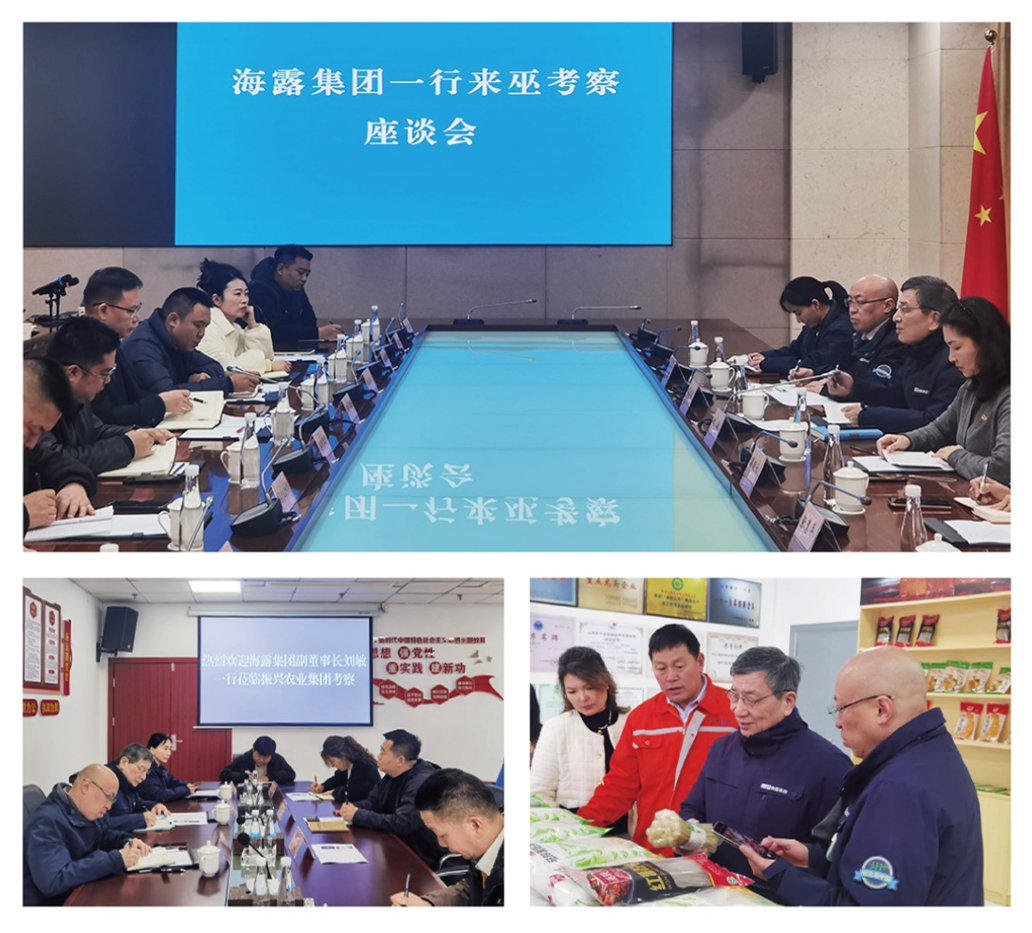 XPJ(中国大陆)有限公司官网