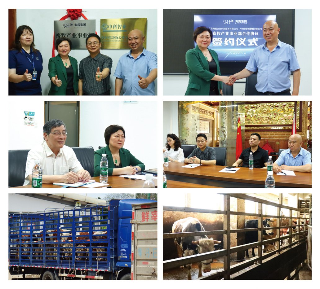 XPJ(中国大陆)有限公司官网