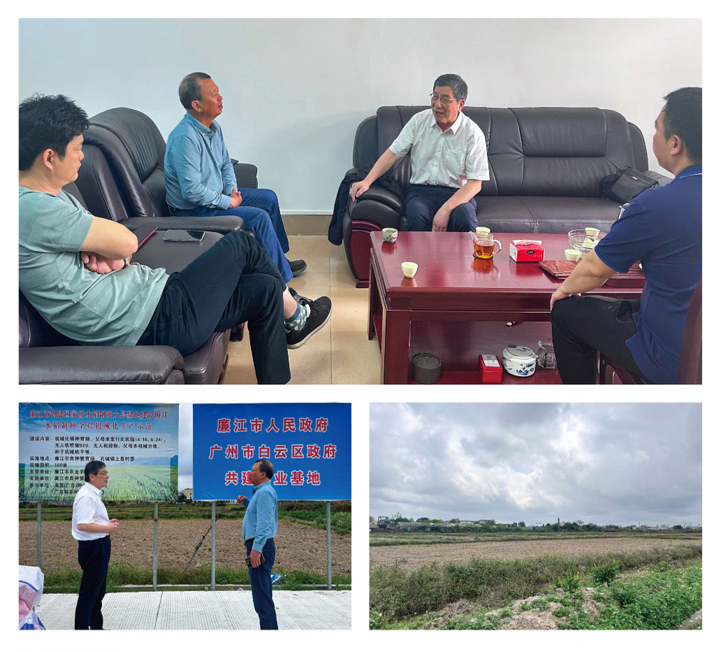 XPJ(中国大陆)有限公司官网