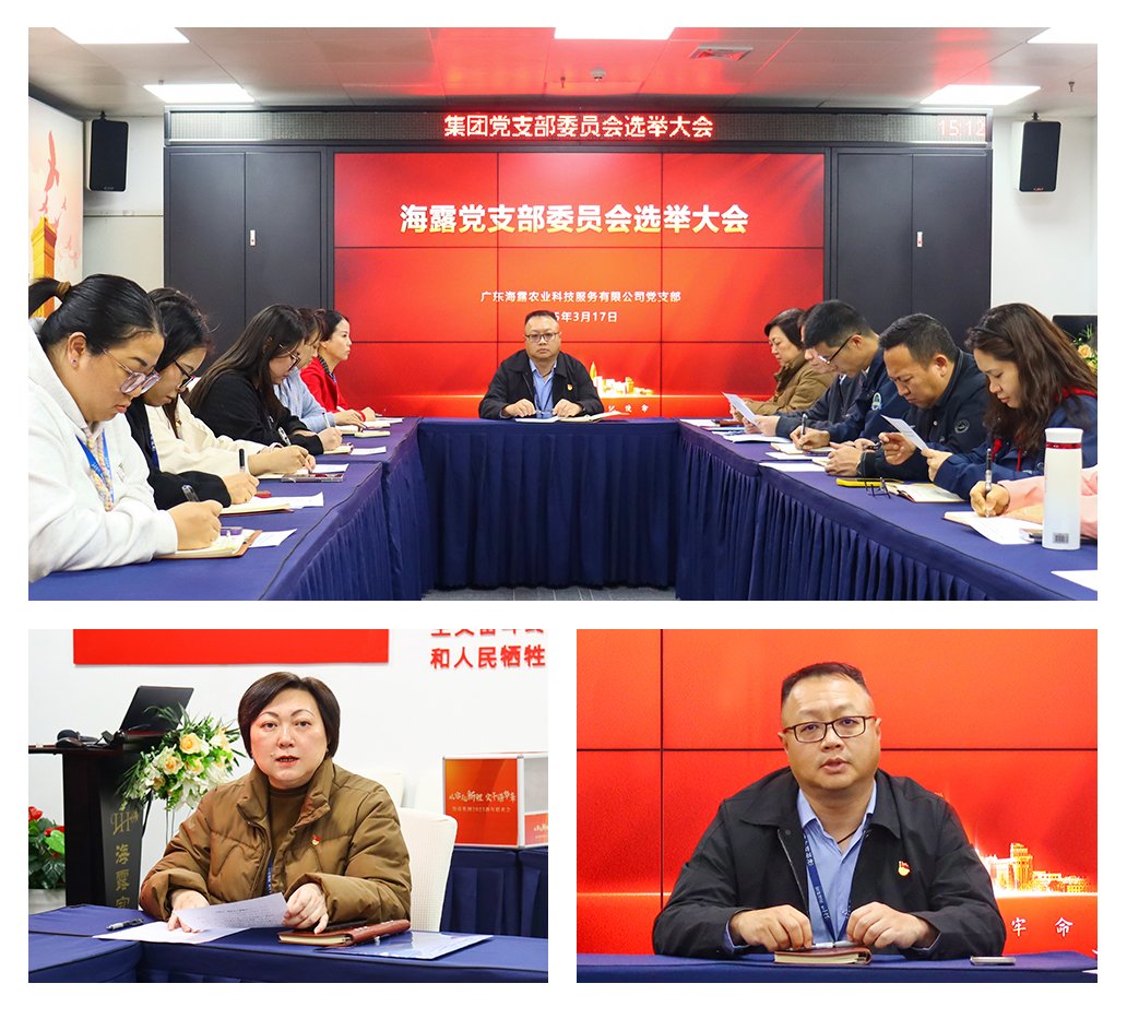 XPJ(中国大陆)有限公司官网