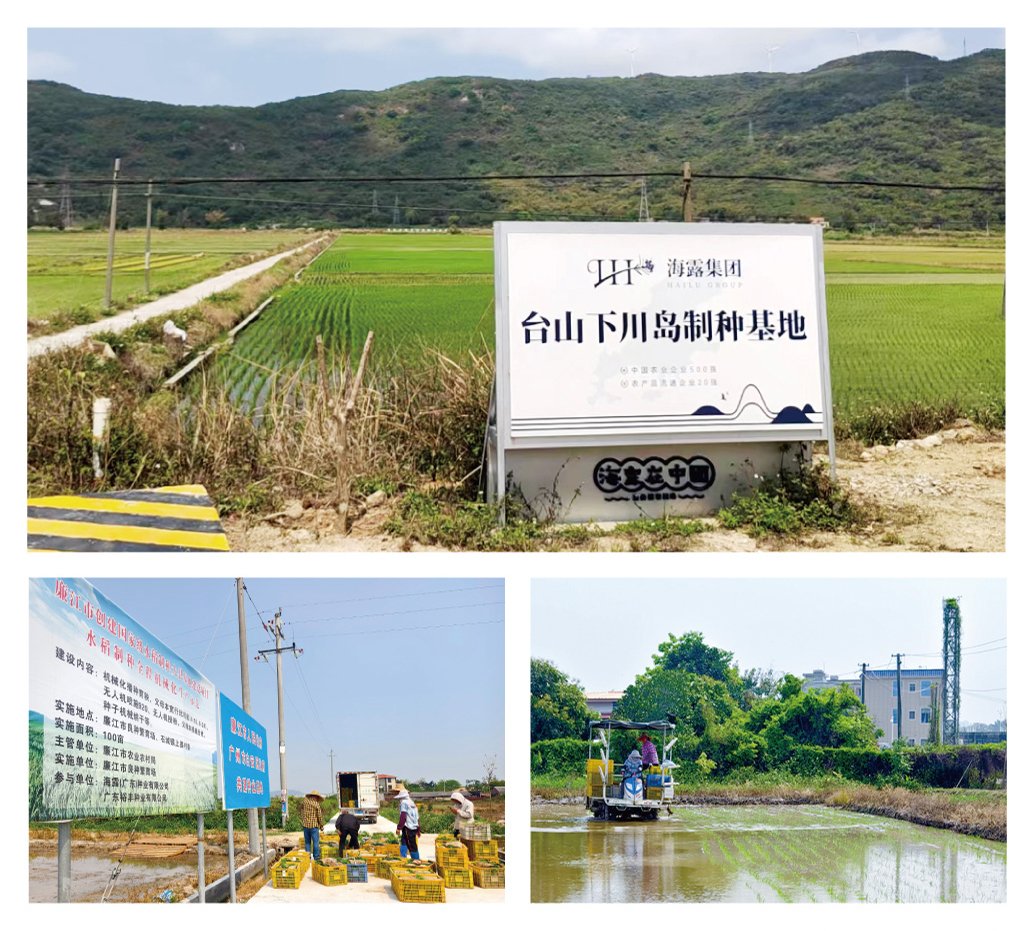 XPJ(中国大陆)有限公司官网