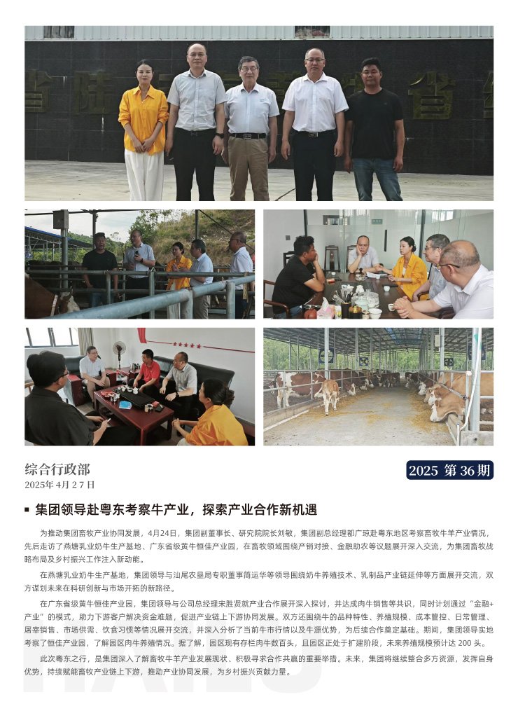 XPJ(中国大陆)有限公司官网