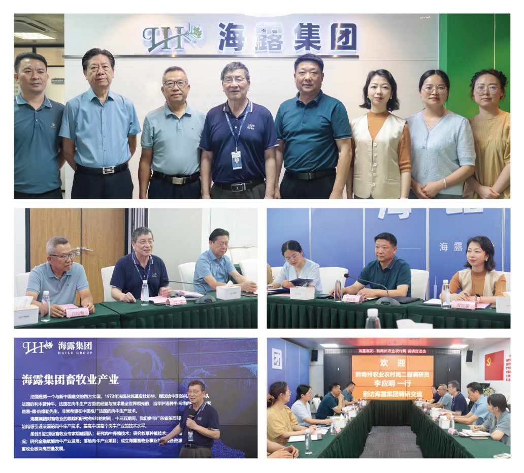 XPJ(中国大陆)有限公司官网