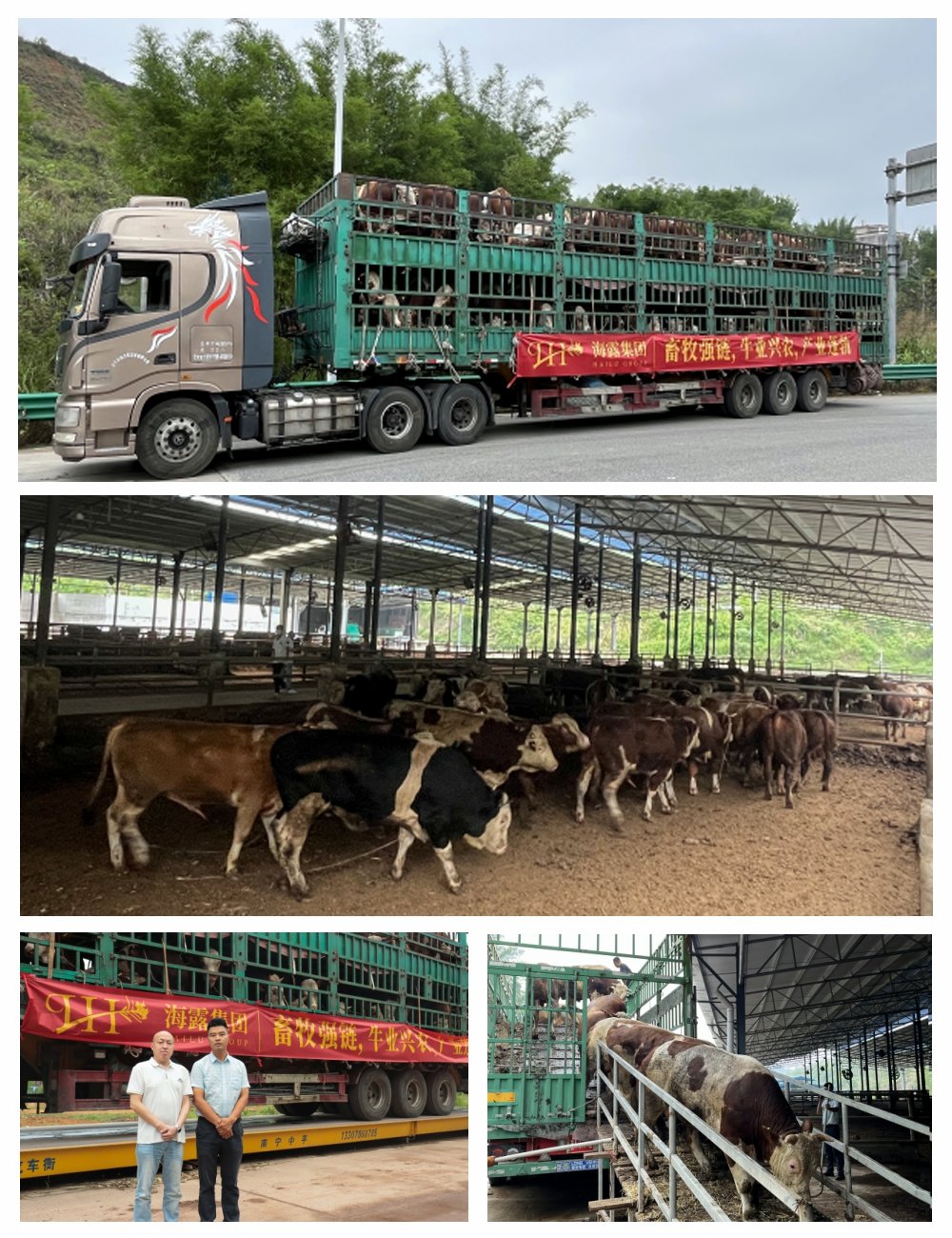 XPJ(中国大陆)有限公司官网