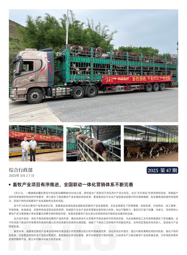 XPJ(中国大陆)有限公司官网