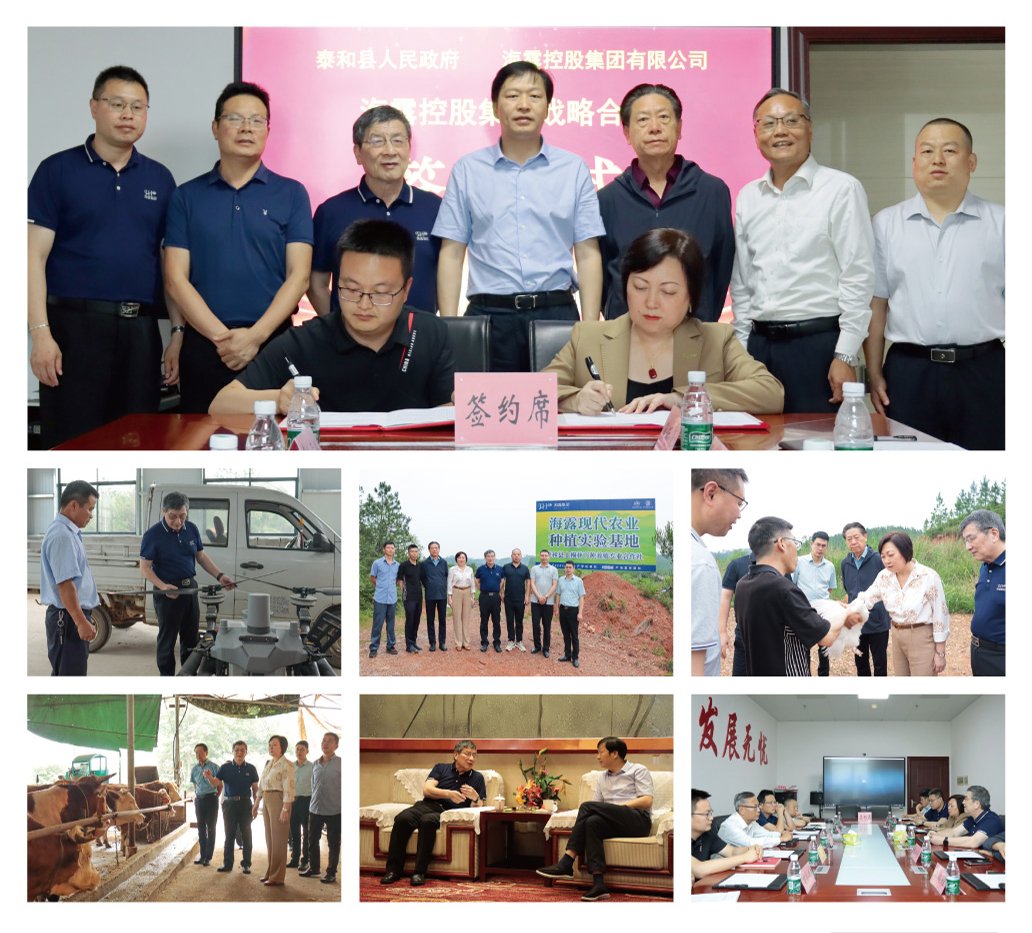 XPJ(中国大陆)有限公司官网