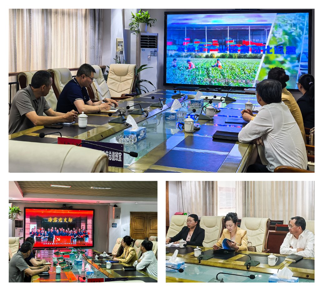 XPJ(中国大陆)有限公司官网