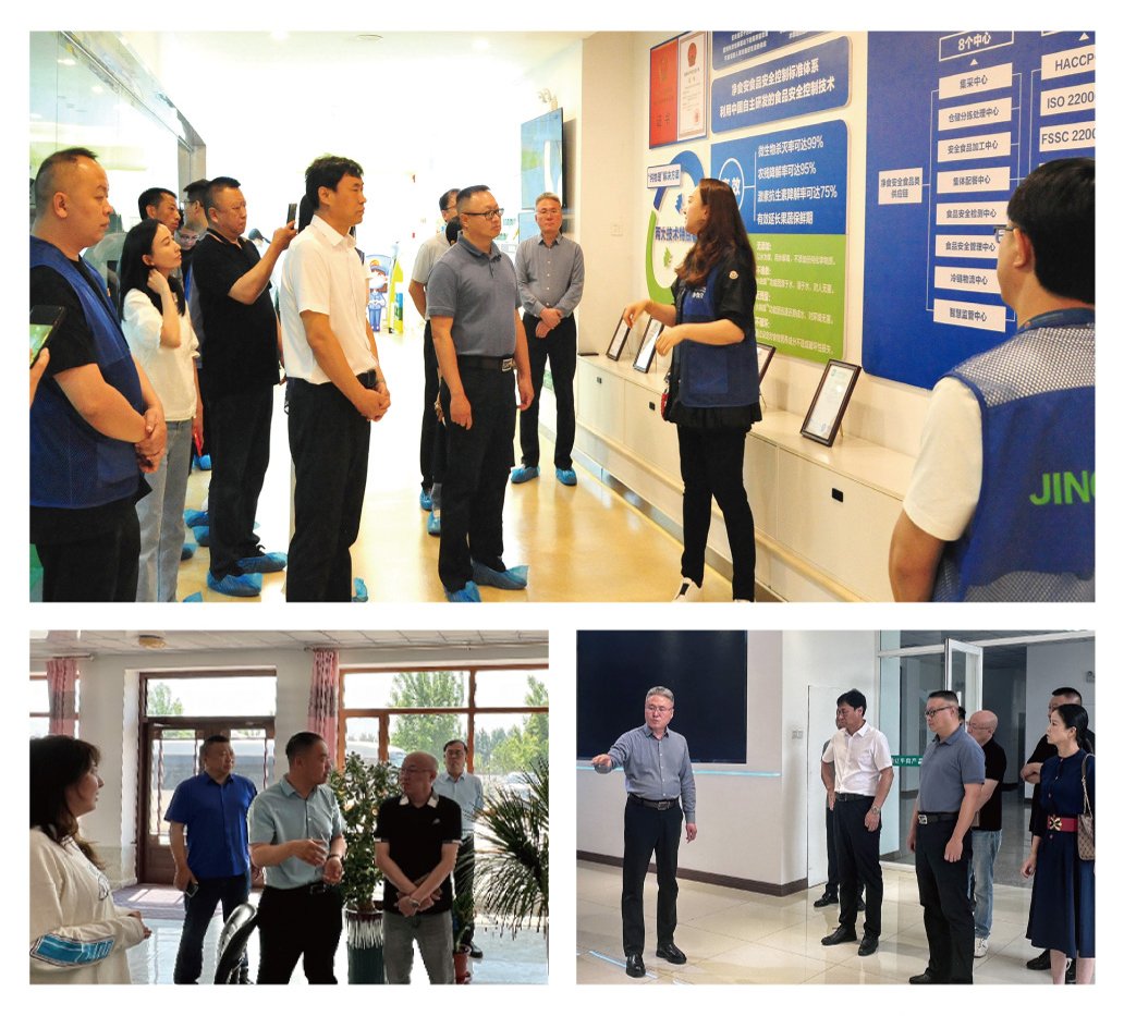 XPJ(中国大陆)有限公司官网