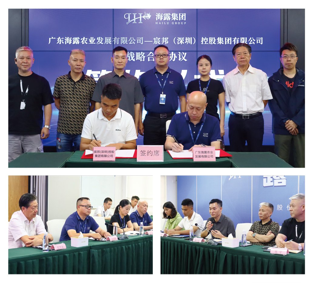 XPJ(中国大陆)有限公司官网