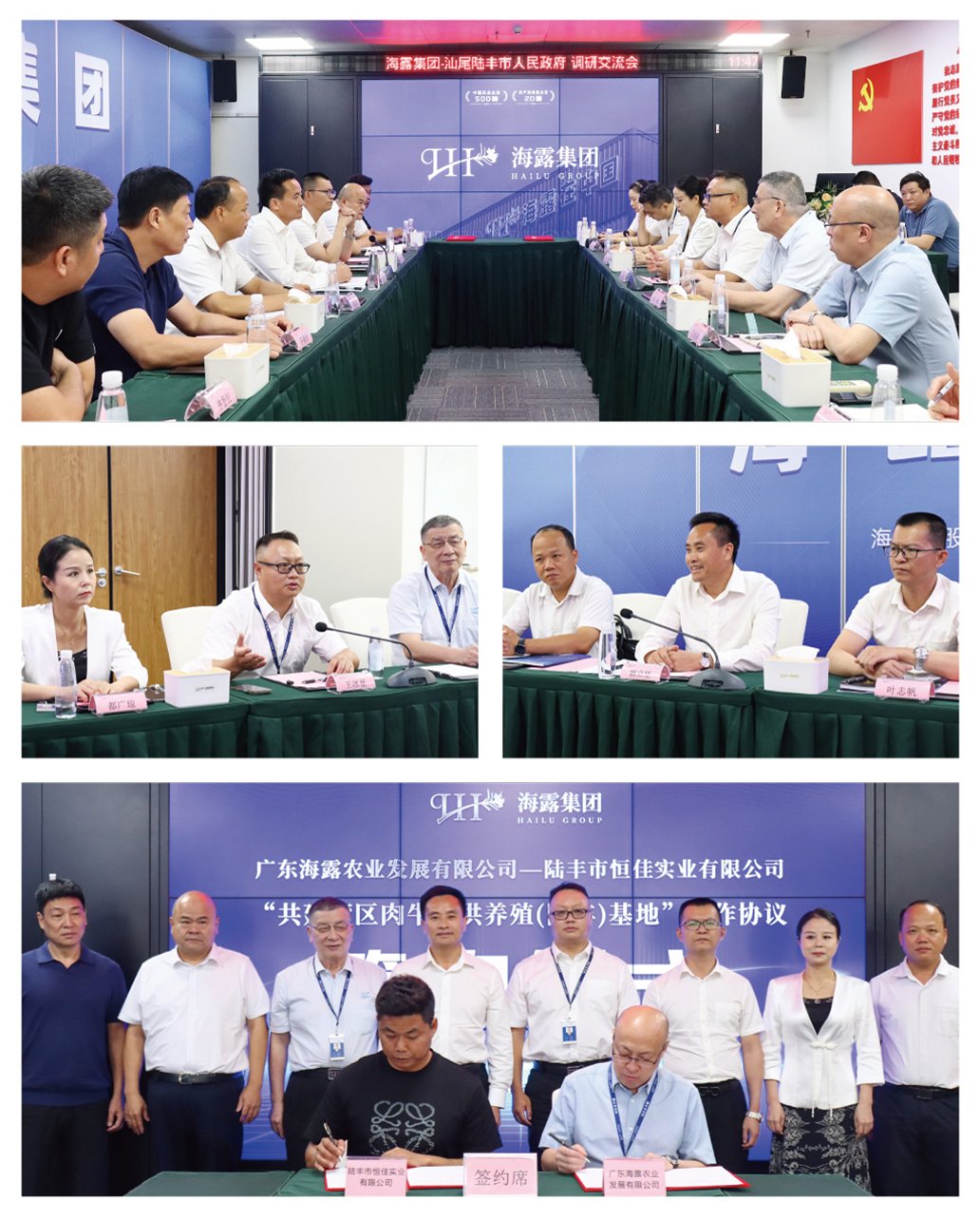 XPJ(中国大陆)有限公司官网