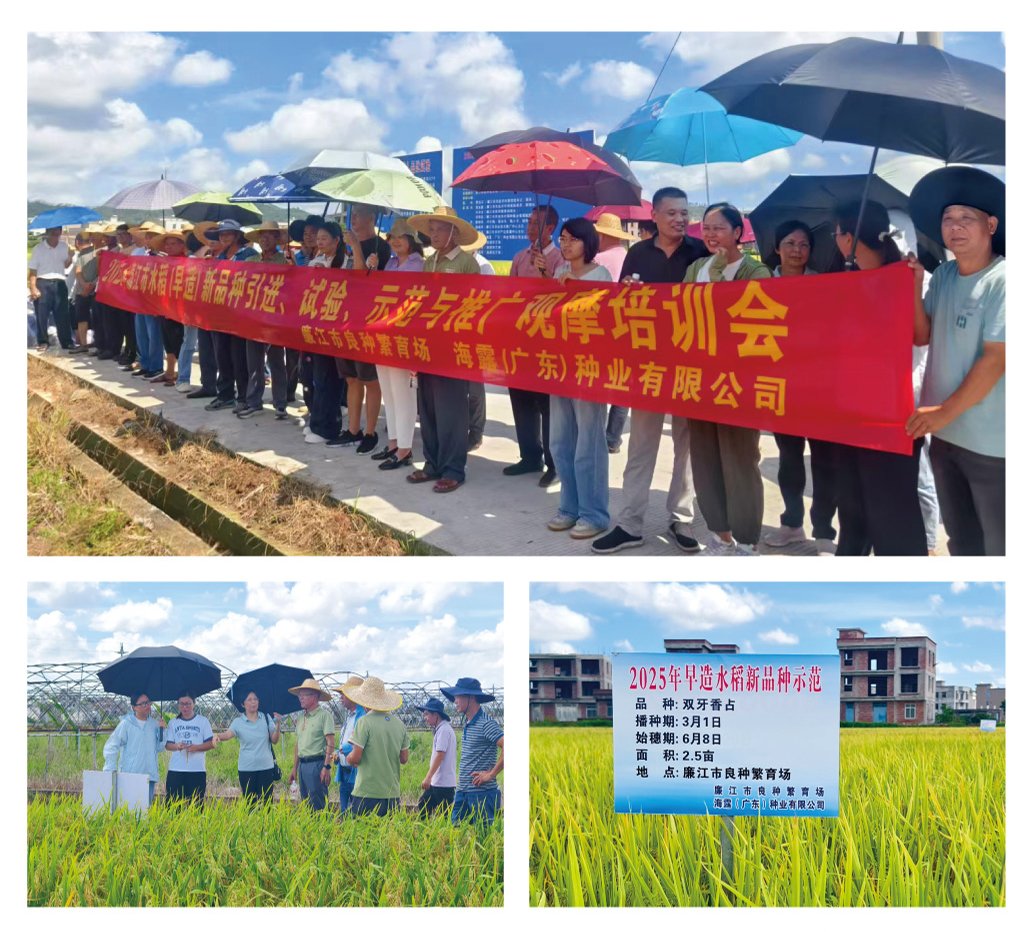 XPJ(中国大陆)有限公司官网