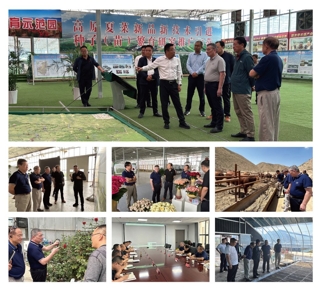 XPJ(中国大陆)有限公司官网