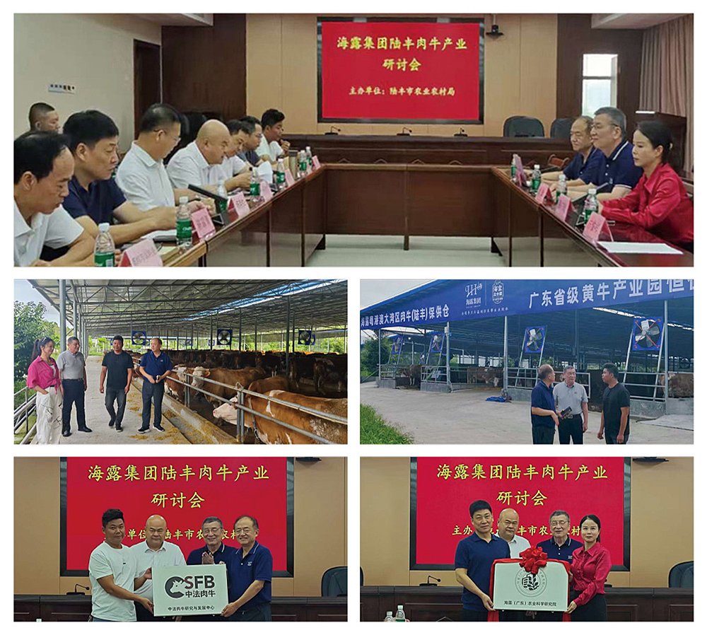 XPJ(中国大陆)有限公司官网