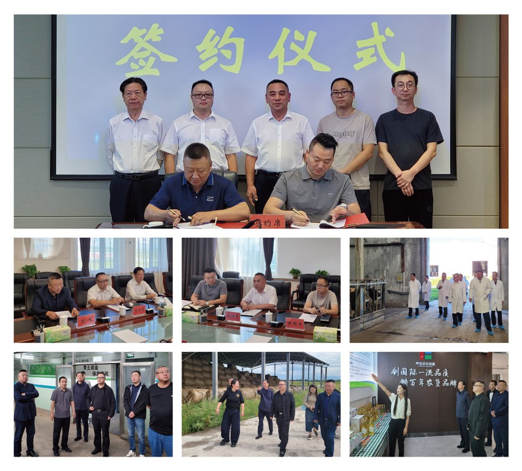 XPJ(中国大陆)有限公司官网