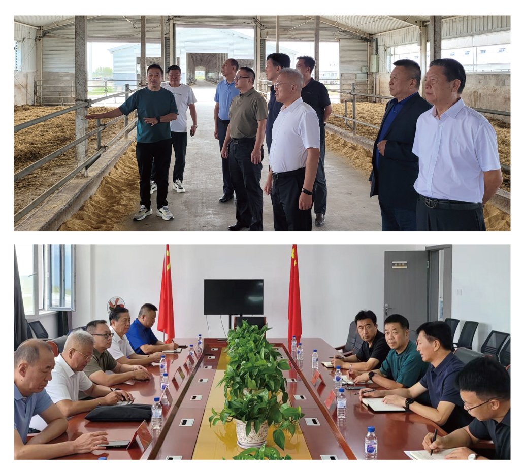 XPJ(中国大陆)有限公司官网