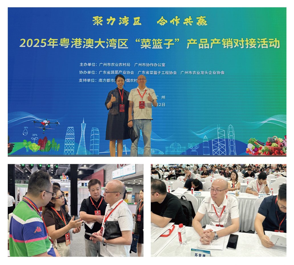 XPJ(中国大陆)有限公司官网