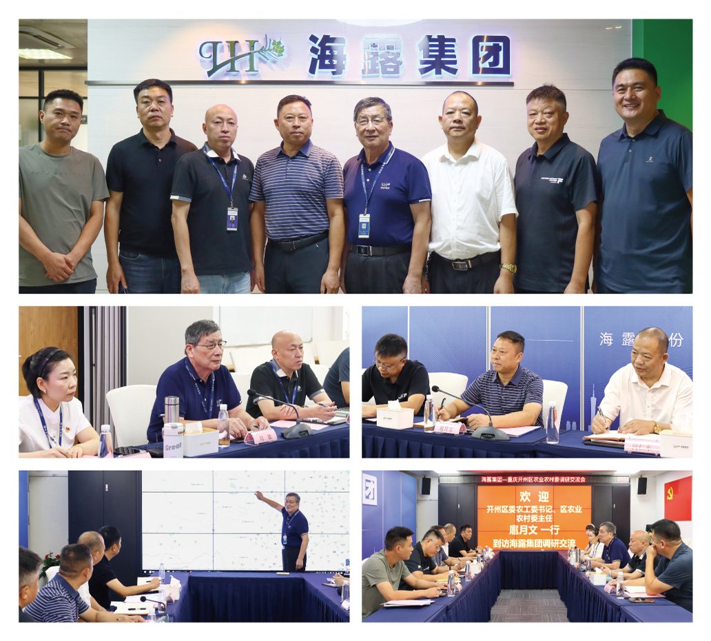 XPJ(中国大陆)有限公司官网