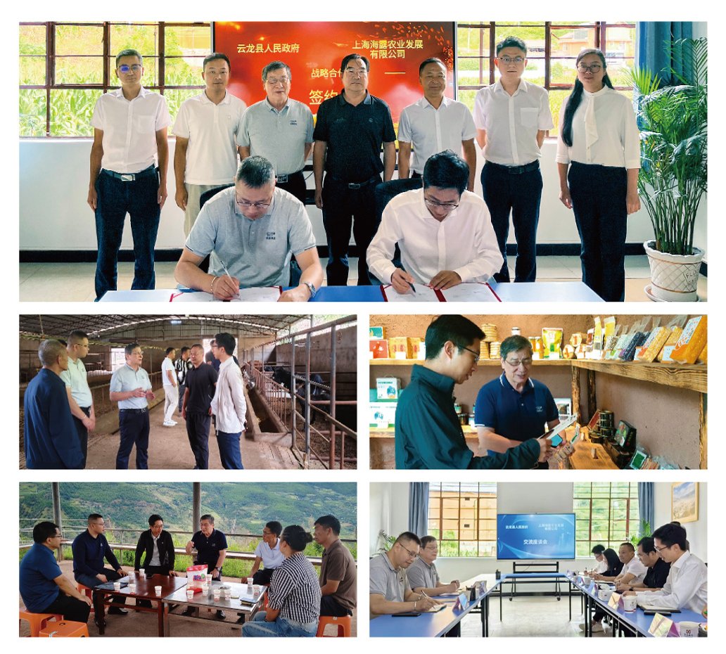 XPJ(中国大陆)有限公司官网