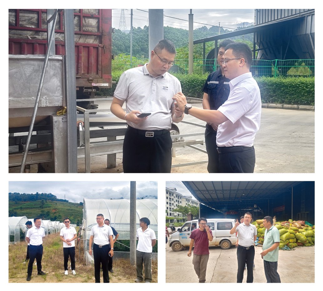 XPJ(中国大陆)有限公司官网