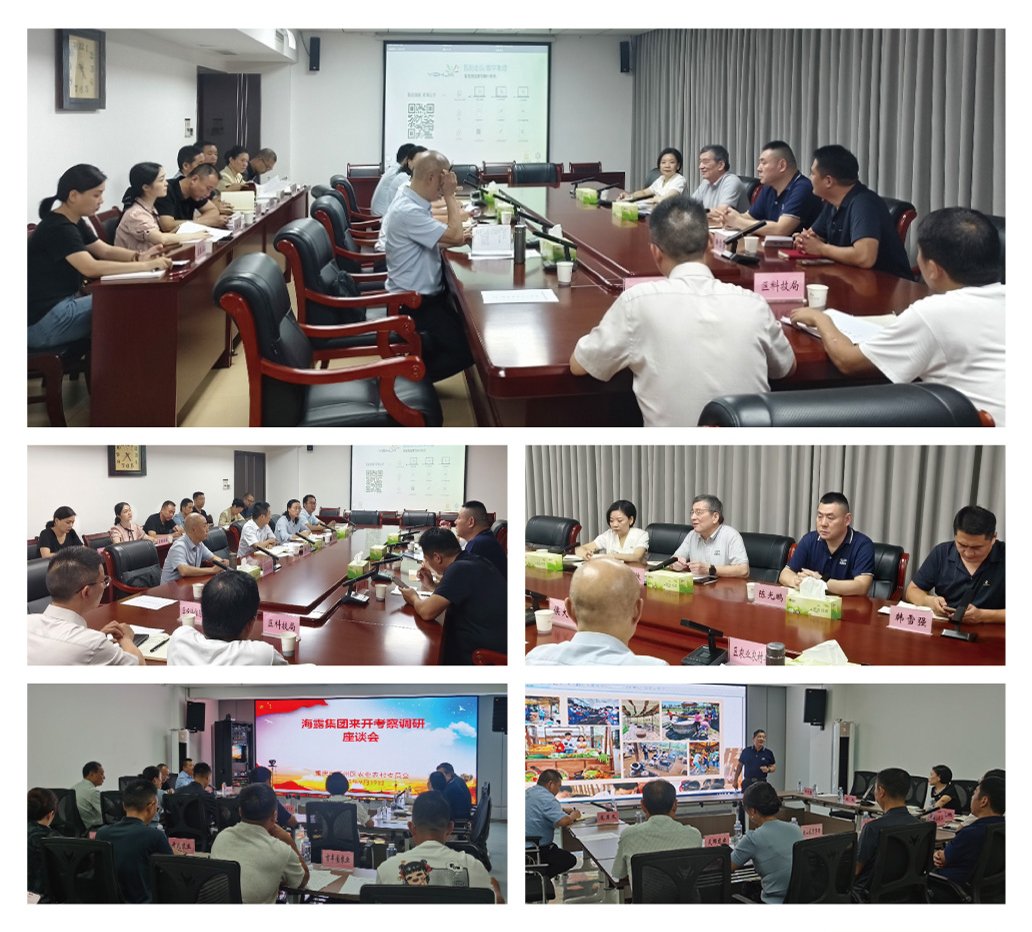 XPJ(中国大陆)有限公司官网