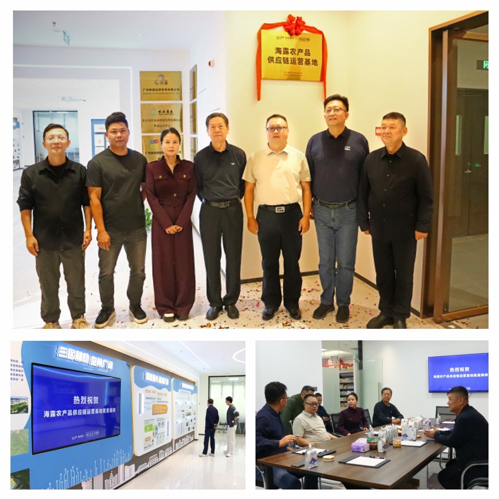 XPJ(中国大陆)有限公司官网