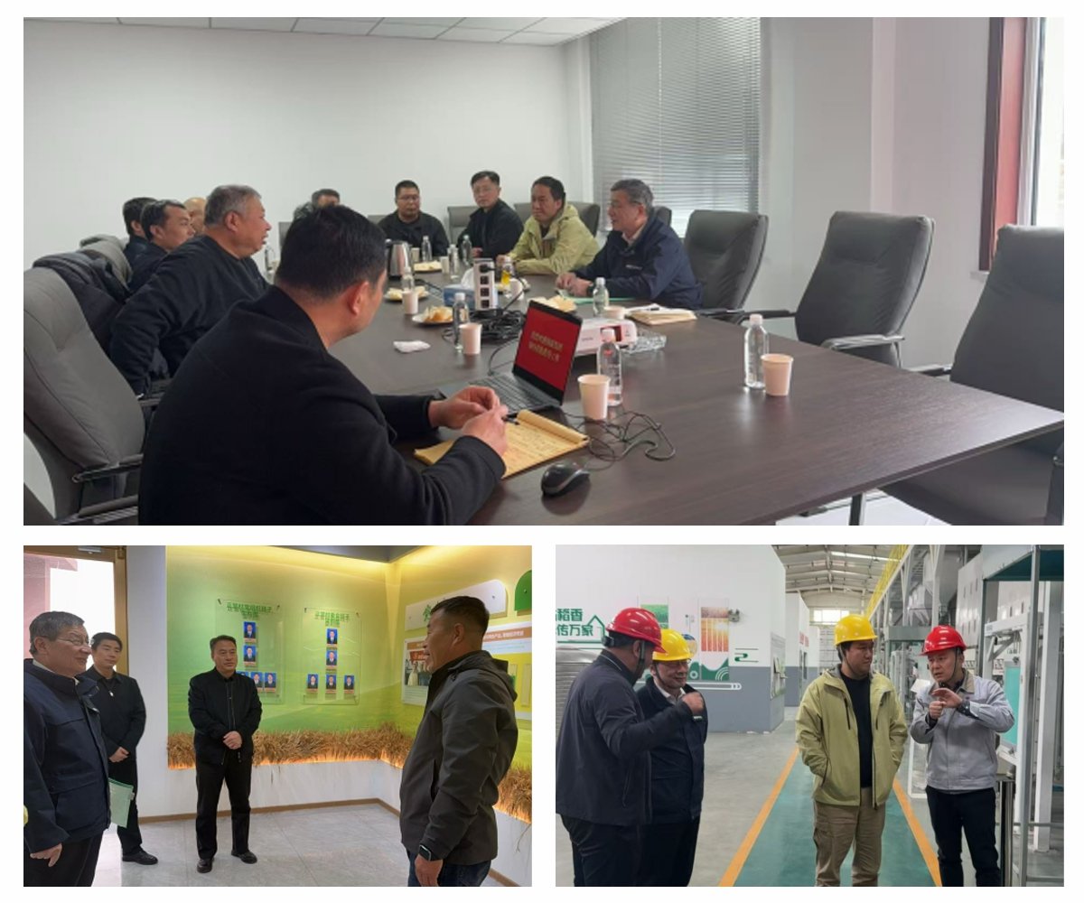 XPJ(中国大陆)有限公司官网