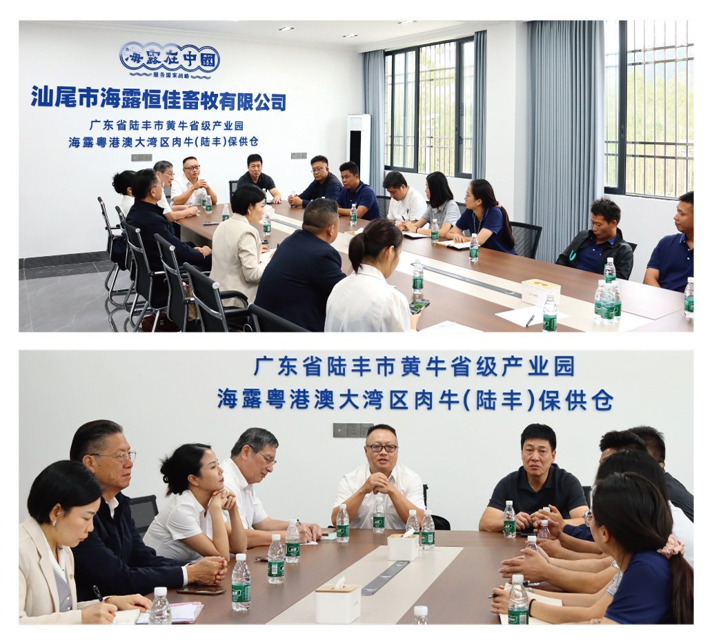 XPJ(中国大陆)有限公司官网