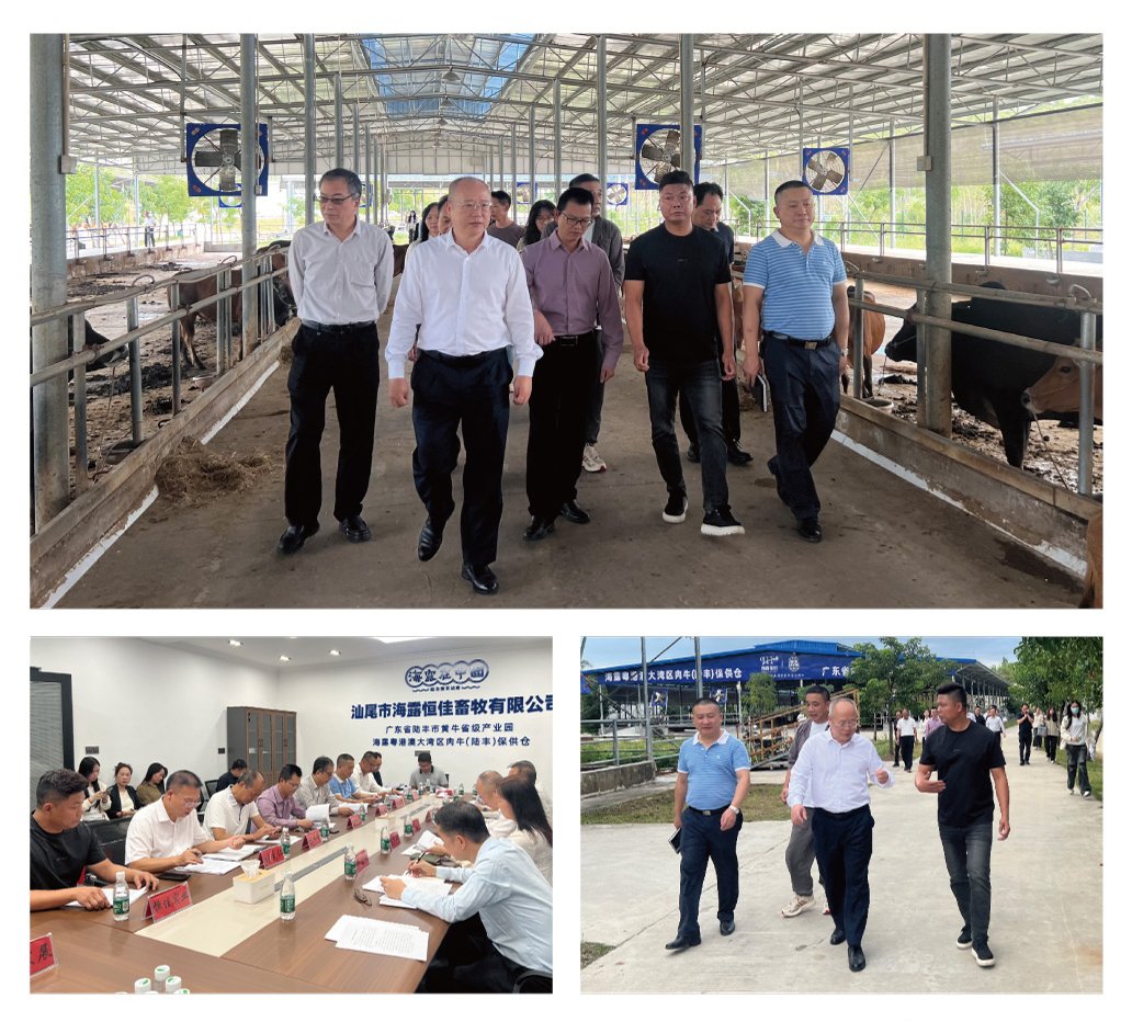 XPJ(中国大陆)有限公司官网