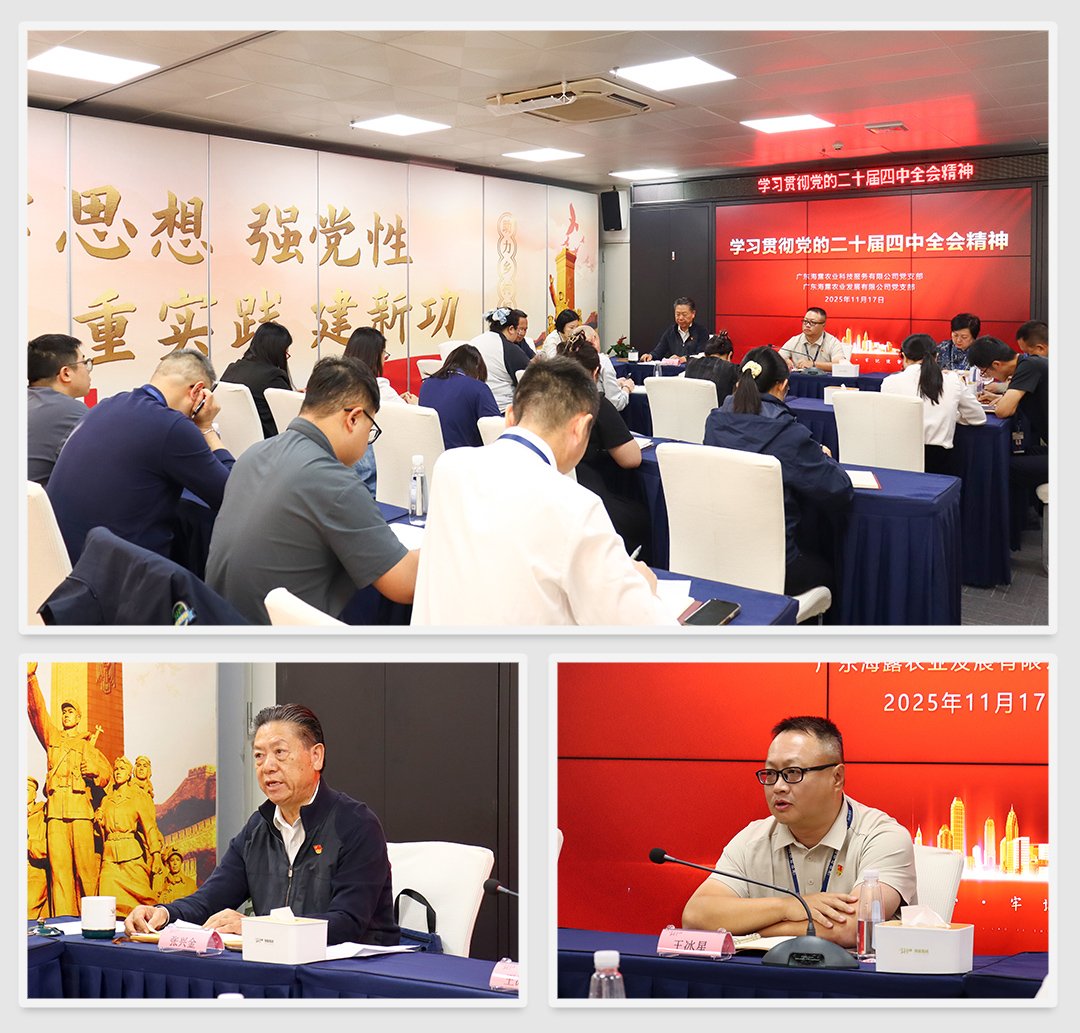 XPJ(中国大陆)有限公司官网