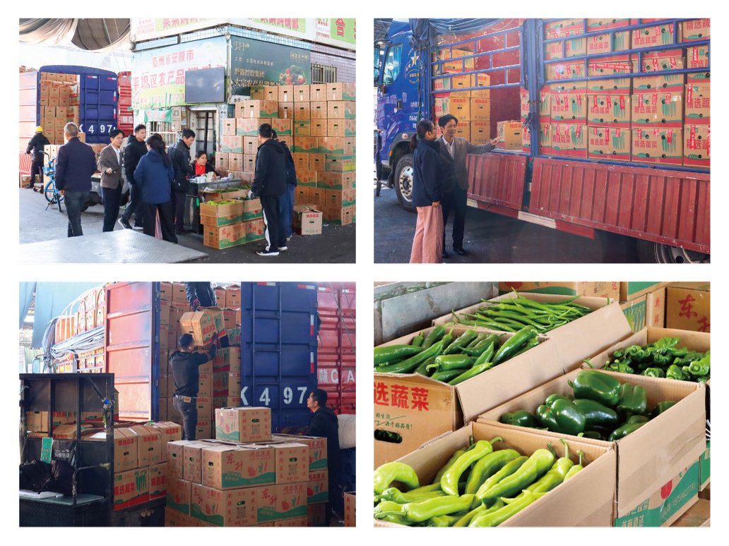 XPJ(中国大陆)有限公司官网