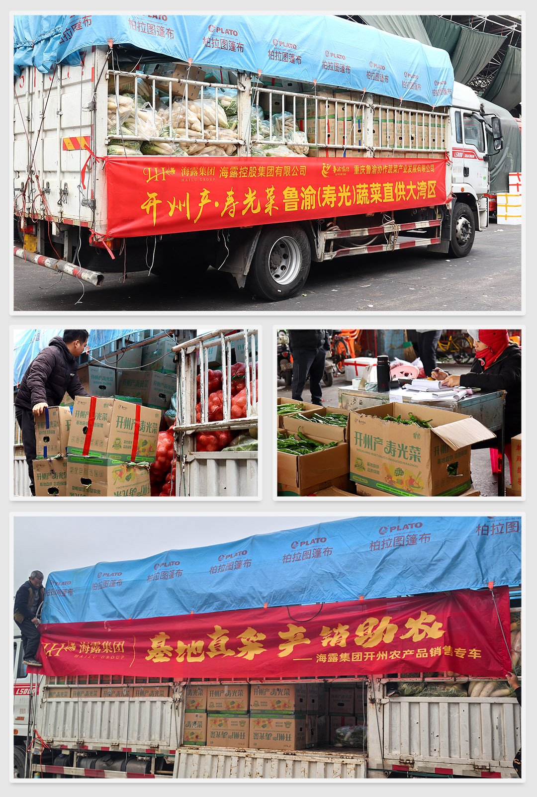 XPJ(中国大陆)有限公司官网