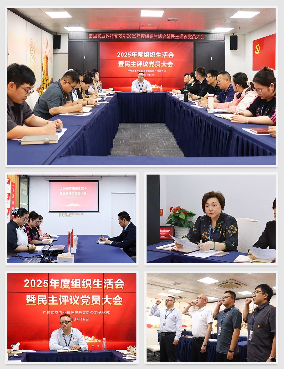 XPJ(中国大陆)有限公司官网