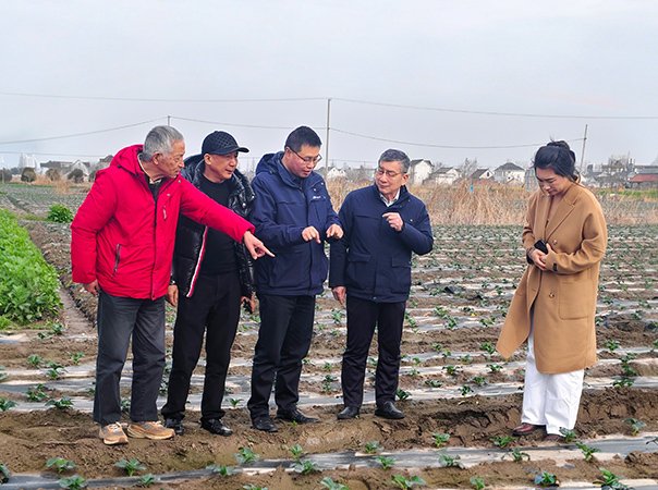 集团辅导携上海处事处赴长三角调查，深入合作拓展业务新格局