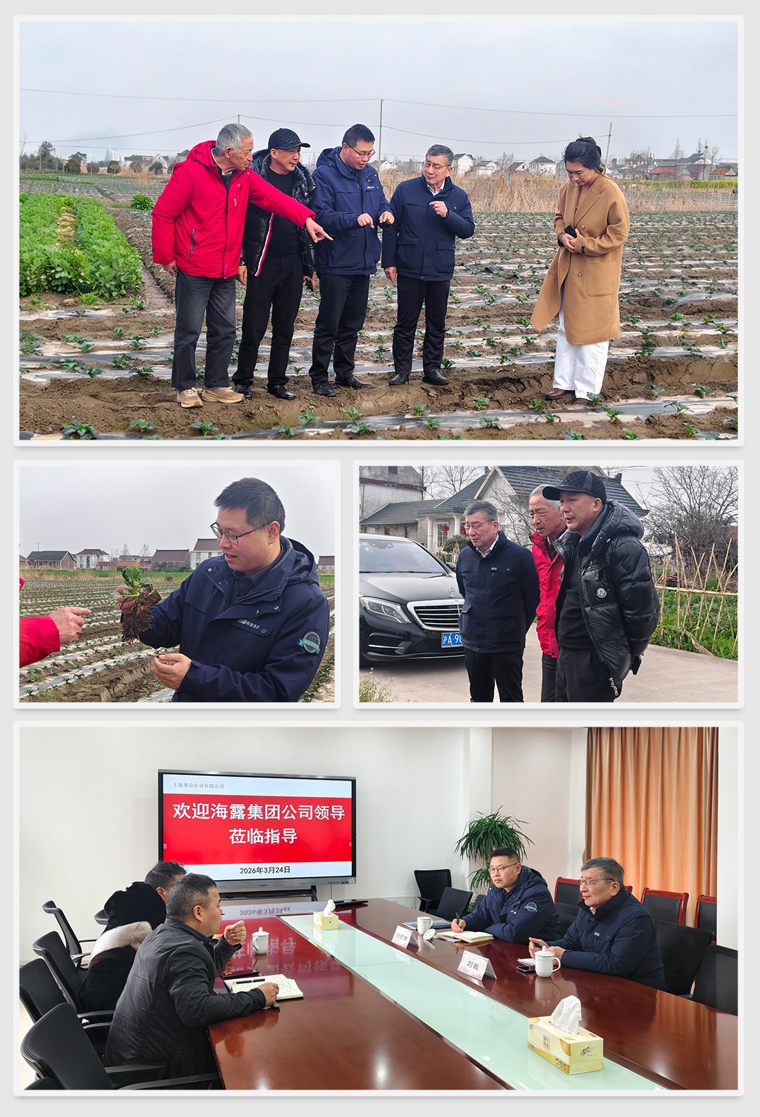 XPJ(中国大陆)有限公司官网